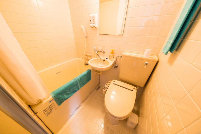 Bathroom 4, Super Hotel Ishigakijima, Ishigaki