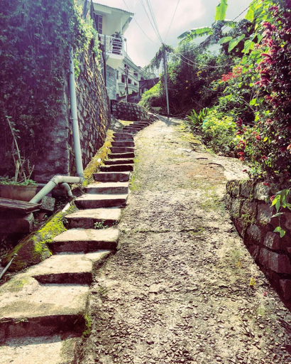 Others 4, DaLat 1900s Homestay, Đà Lạt