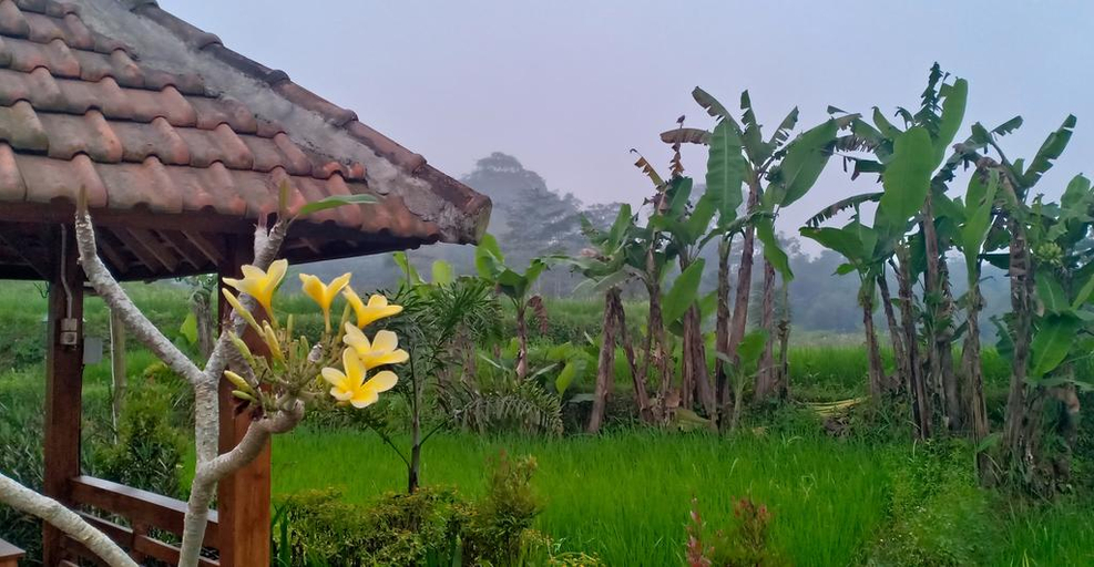 Others 5, Sindoro Village, Wonosobo