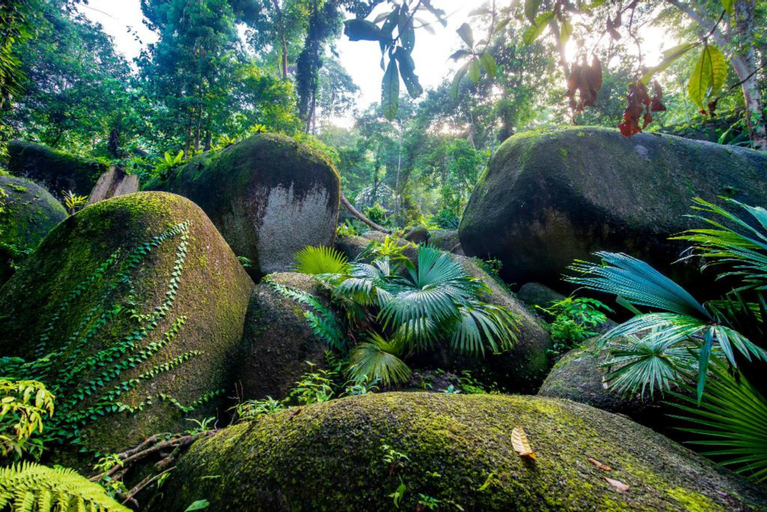 Boulder Valley Glamping Penang, Barat Daya