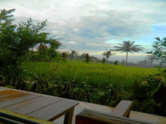 Others 5, Kampoeng Tourist Homestay Banyuwangi, Banyuwangi