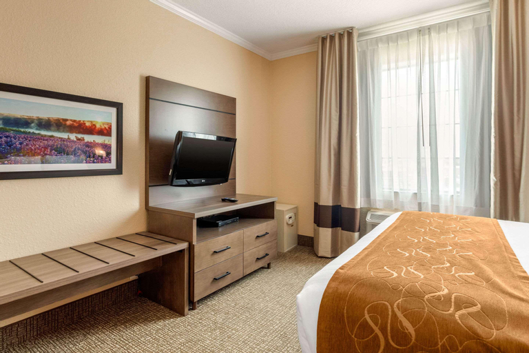 Bedroom 7