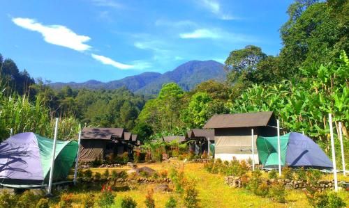 Curug Nangka Green Glamping, Bogor
