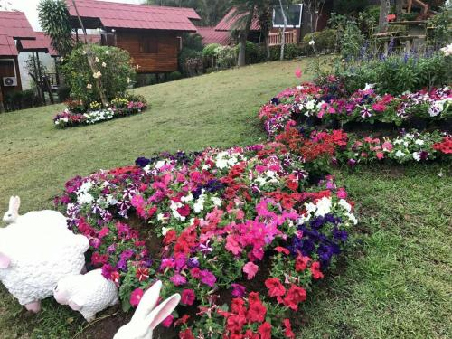 ภูน้ำทิพย์ รีสอร์ท, Khao Kho