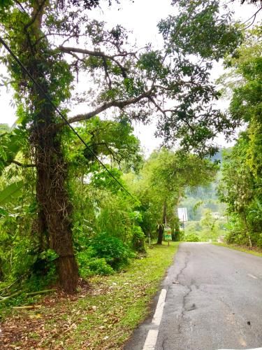 Selesa Resort homestay, Bentong