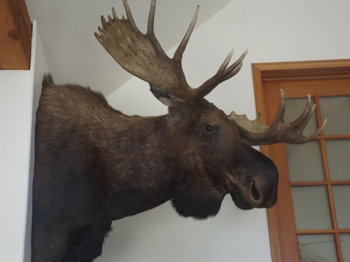 Public Area 3, Clark Fork Lodge, Bonner