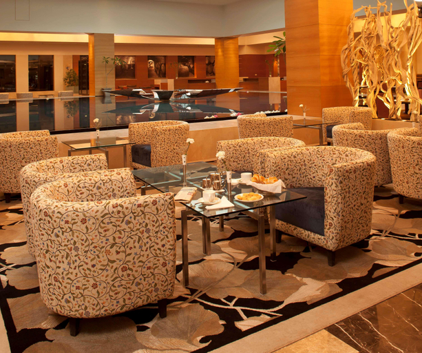 Public Area 5, Radisson Blu Hotel Ranchi, Ranchi