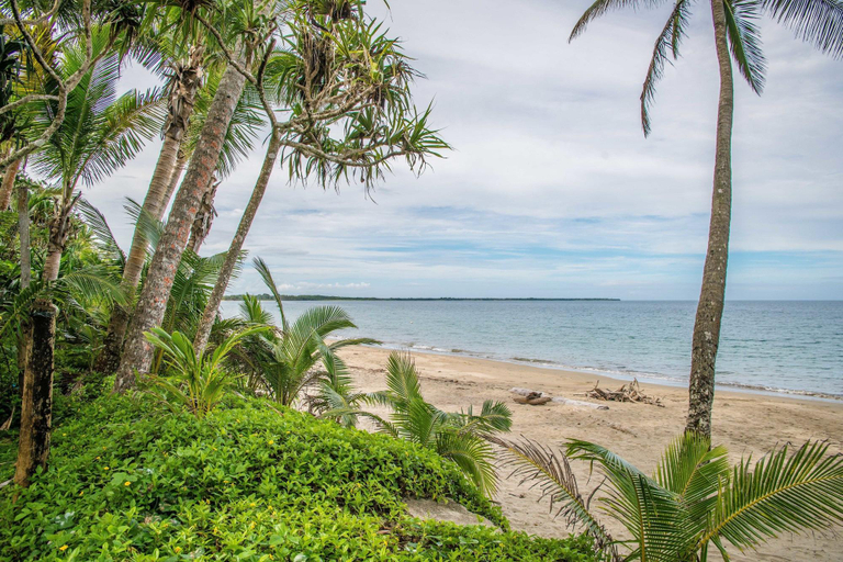 Exterior & Views, Fiji Palms, Serua