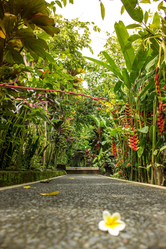 Exterior & Views 3, Bisma Jaya Bungalow, Gianyar
