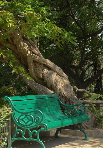 Others 4, Woodville Palace by Signum, Shimla