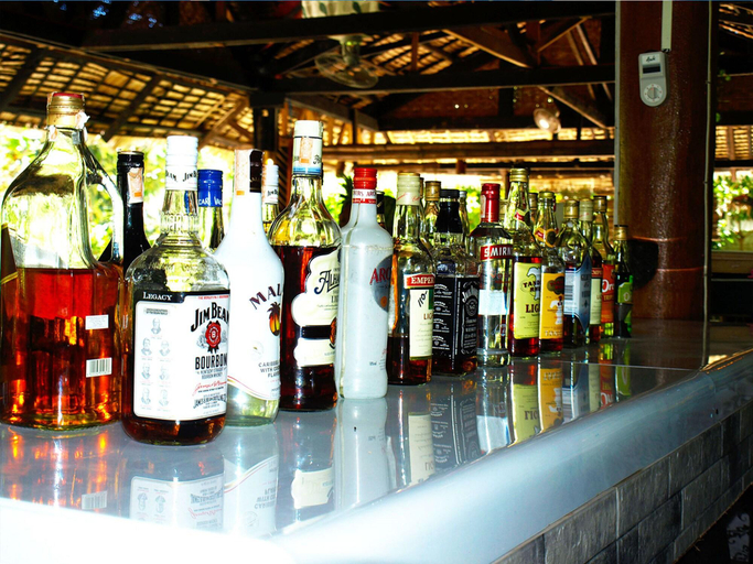 Public Area, The Sharks Tail Dive Resort, Daanbantayan