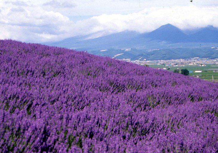 Exterior & Views 3, Hotel Sunfuraton, Furano