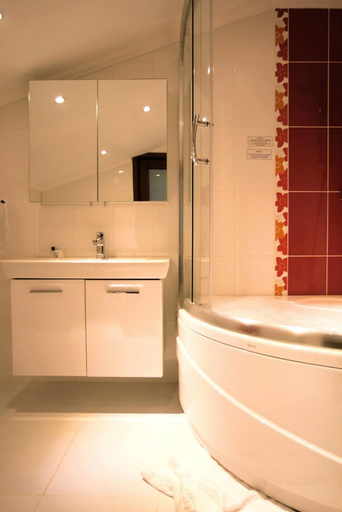 Bathroom 5, Ayder Haylaz otel, Ardeşen