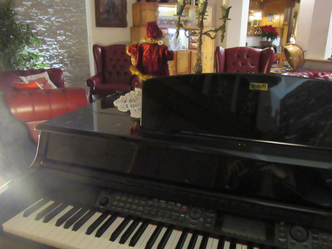 Public Area 4, Park Hotel Arnica, Belluno