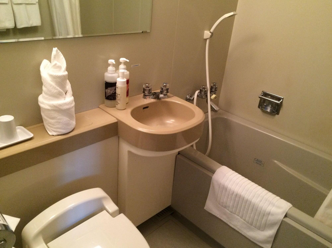 Bathroom 4, Hotel Crown Hills Takaoka, Takaoka