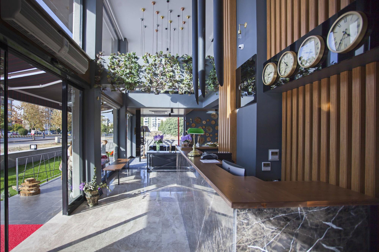 Public Area 2, Hotel Cura, Merkez