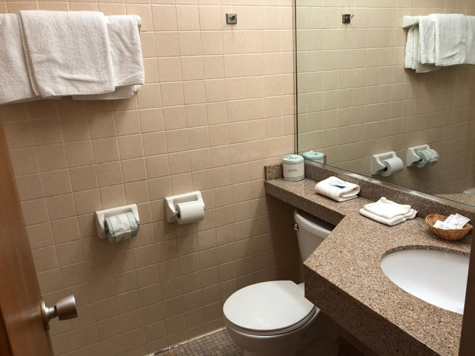 Bathroom 5, Red Carpet Inn North Syracuse, Onondaga