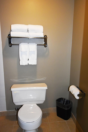 Bathroom 4, Canad Inns Destination Centre Portage la Prairie, Division No. 9