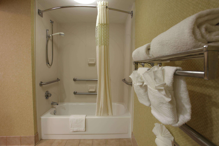 Bathroom 5, Hotel Spice & Sky Atlanta Perimeter, DeKalb