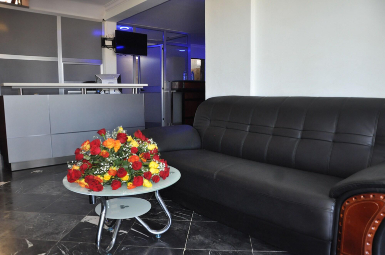 Public Area 2, North Addis Hotel, Addis Abeba