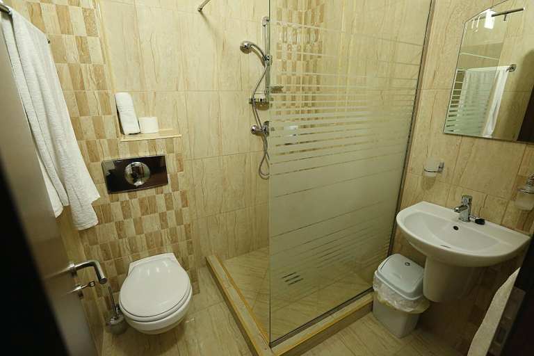 Bathroom 4, Pensiunea Genesa, Dumbravita