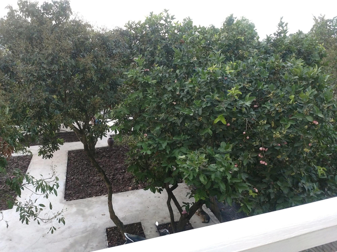 Public Area, Tuyet's Homestay, Hoa Lư