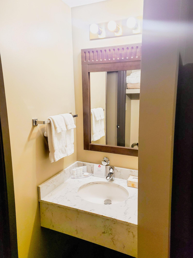 Bathroom 4, Canad Inns Destination Centre Portage la Prairie, Division No. 9
