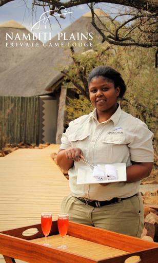 Public Area 3, Nambiti Plains Private Game Lodge, Uthukela
