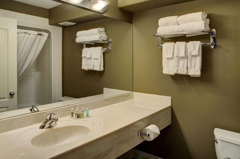 Bathroom 4, Lakeview Inns & Suites - Edson Airport, Division No. 14