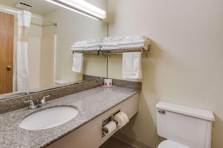 Bathroom 4, Econo Lodge Whitehall Near Michigan's Adventure, Muskegon