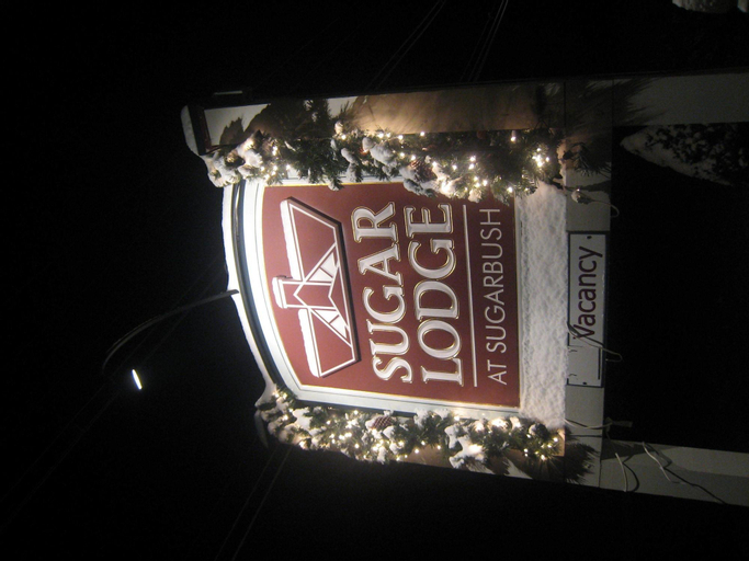Food & Drinks 6
