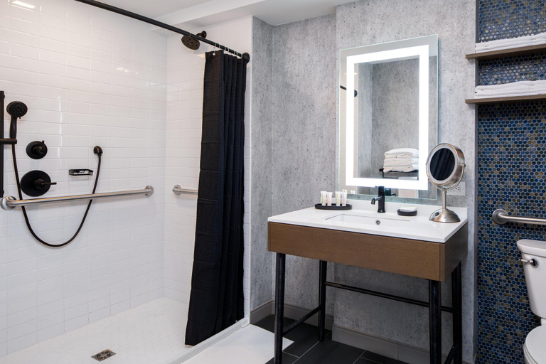 Bathroom 4, TRU by Hilton Ringgold, Catoosa