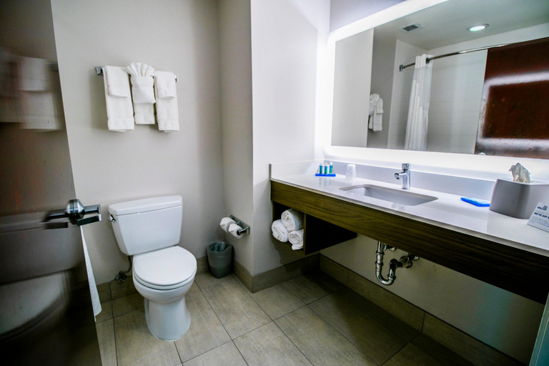 Bathroom 4, Hampton Inn & Suites Baton Rouge/Port Allen, West Baton Rouge