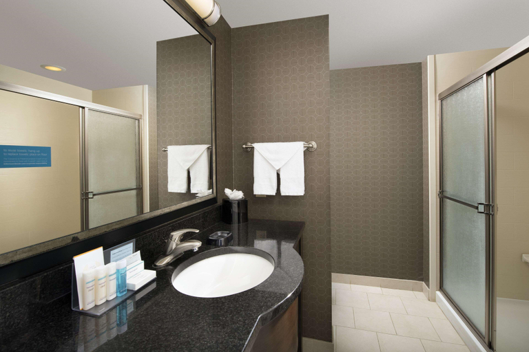 Bathroom 4, Hampton Inn & Suites Athens-I-65 (Huntsville Area), Limestone