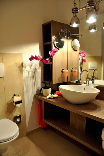 Bathroom 4, Parkhotel Langenthal, Aarwangen