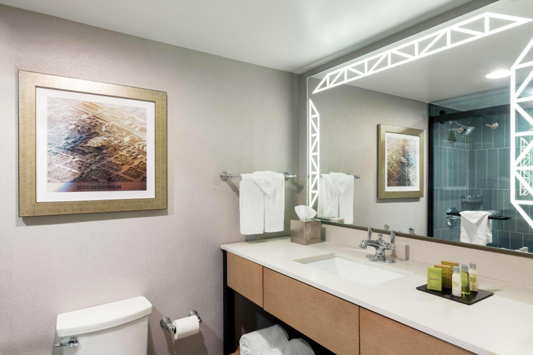 Bathroom 4, Doubletree By Hilton Birmingham Perimeter Park, Jefferson