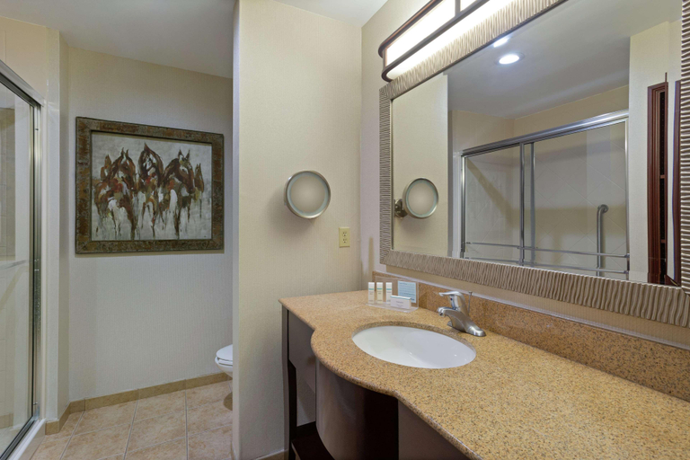 Bathroom 4, Hampton Inn & Suites Wellington, Palm Beach