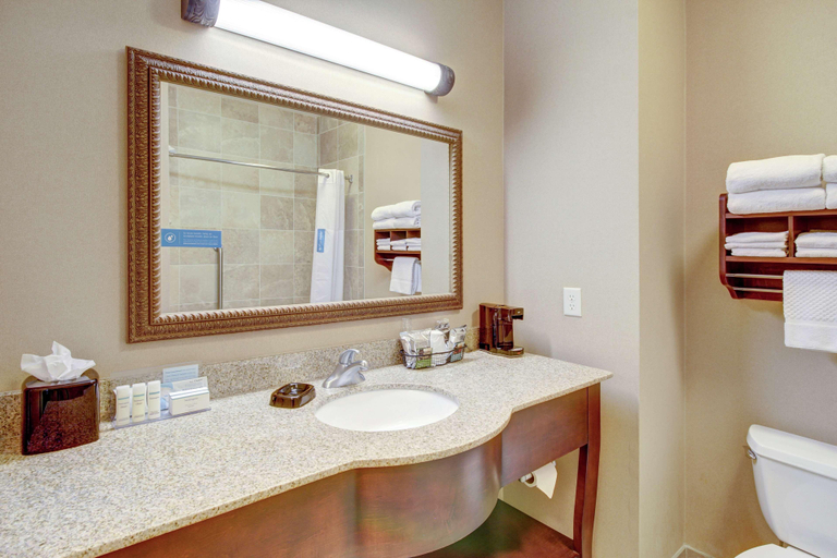 Bathroom 4, Hampton Inn & Suites Alexandria, Douglas