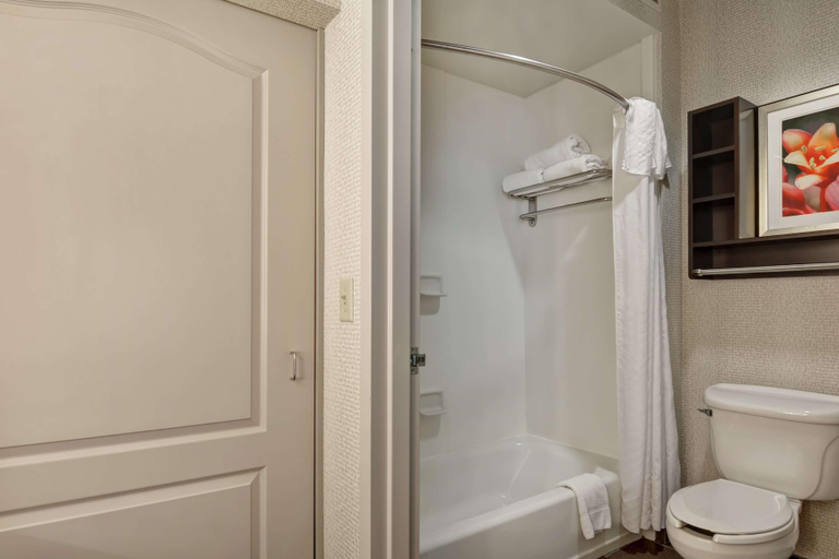 Bathroom 4, Homewood Suites by Hilton Amarillo, Potter