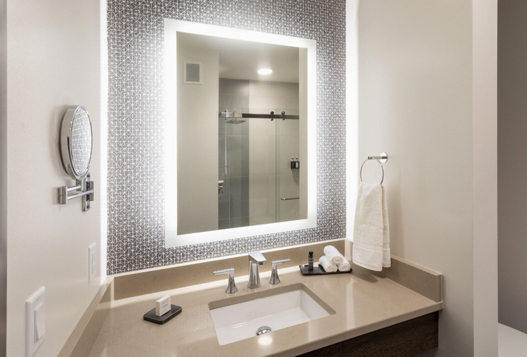 Bathroom 4, Running Aces Hotel Trademark Collection By Wyndham, Anoka