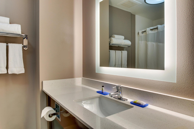 Bathroom 4, Hampton Inn Columbus South Fort Moore, Muscogee