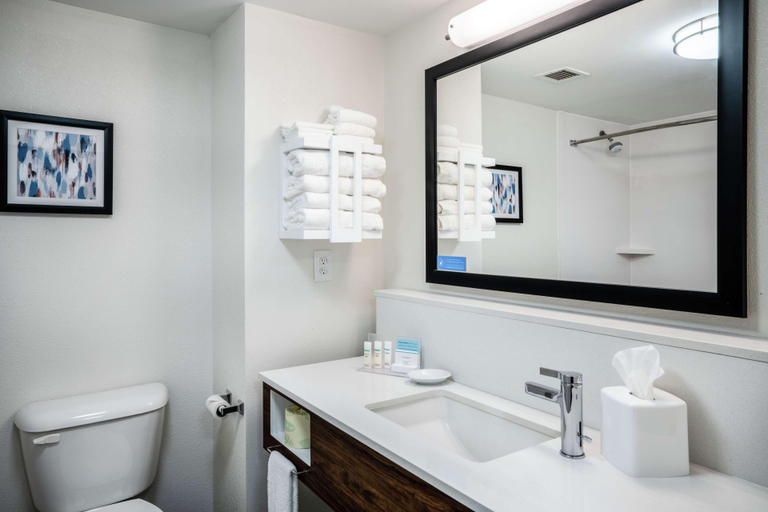 Bathroom 4, Hampton Inn & Suites Opelika I-85 Auburn Area, Lee