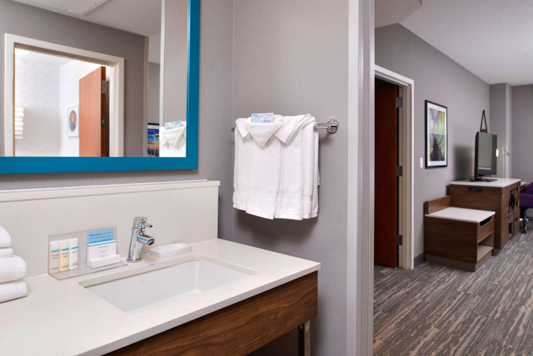 Bathroom 4, Hampton Inn and Suites Boise/Spectrum, Ada