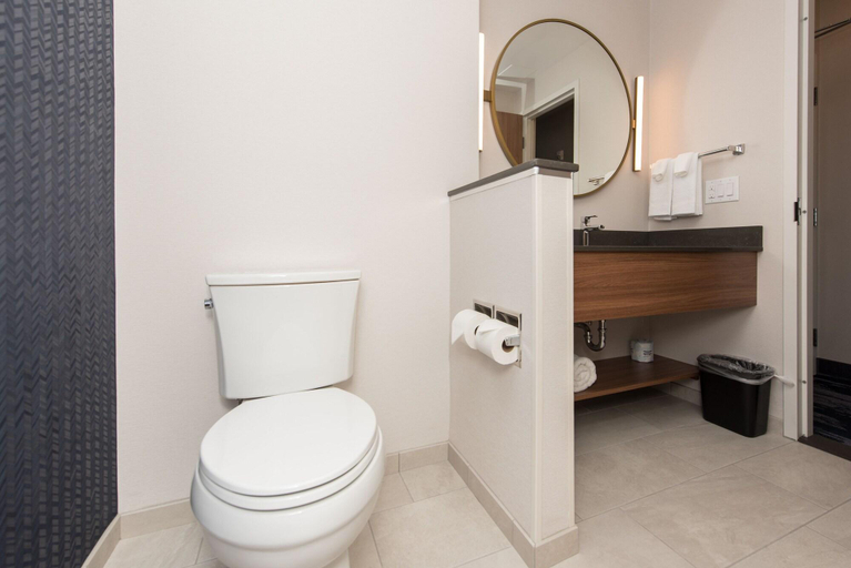 Bathroom 5, Fairfield Inn & Suites by Marriott Penticton, Okanagan-Similkameen