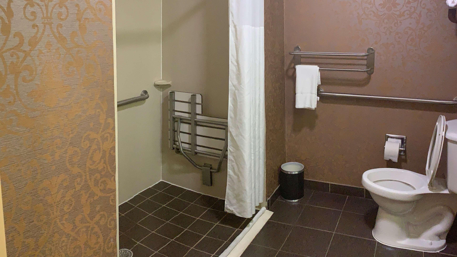 Bathroom 4, Hampton Inn & Suites Phenix City- Columbus Area, Russell