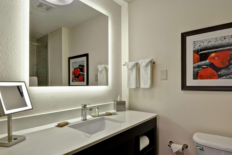Bathroom 4, Doubletree by Hilton Hattiesburg, MS, Forrest