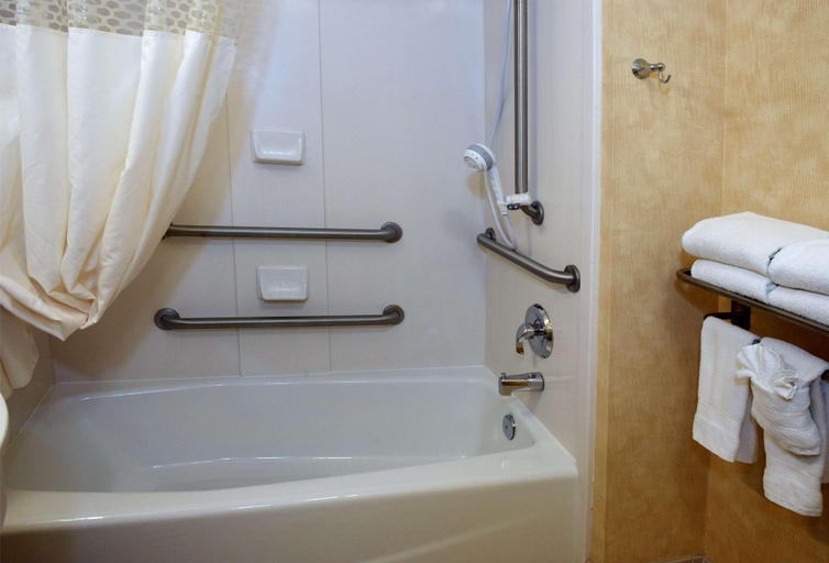 Bathroom 4, Hampton Inn Richfield, UT, Sevier