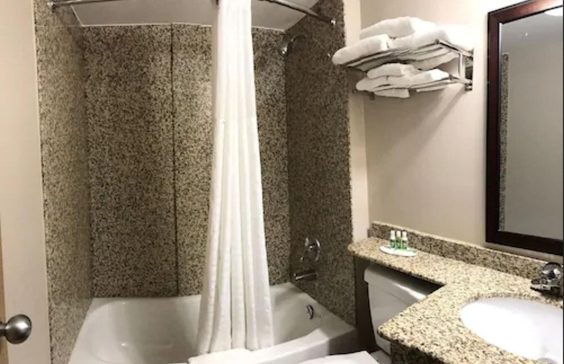 Bathroom 4, Red Maple inn and suites, Muskoka