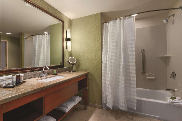 Bathroom 4, Embassy Suites by Hilton Omaha La Vista Conf Ctr, Sarpy