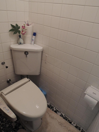 Bathroom 4, Tsubakisou, Nara